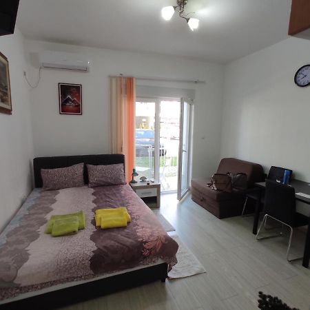 Apartman Goca Banja Koviljača エクステリア 写真