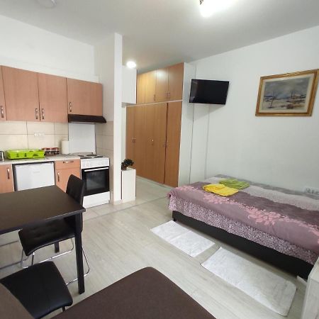 Apartman Goca Banja Koviljača エクステリア 写真