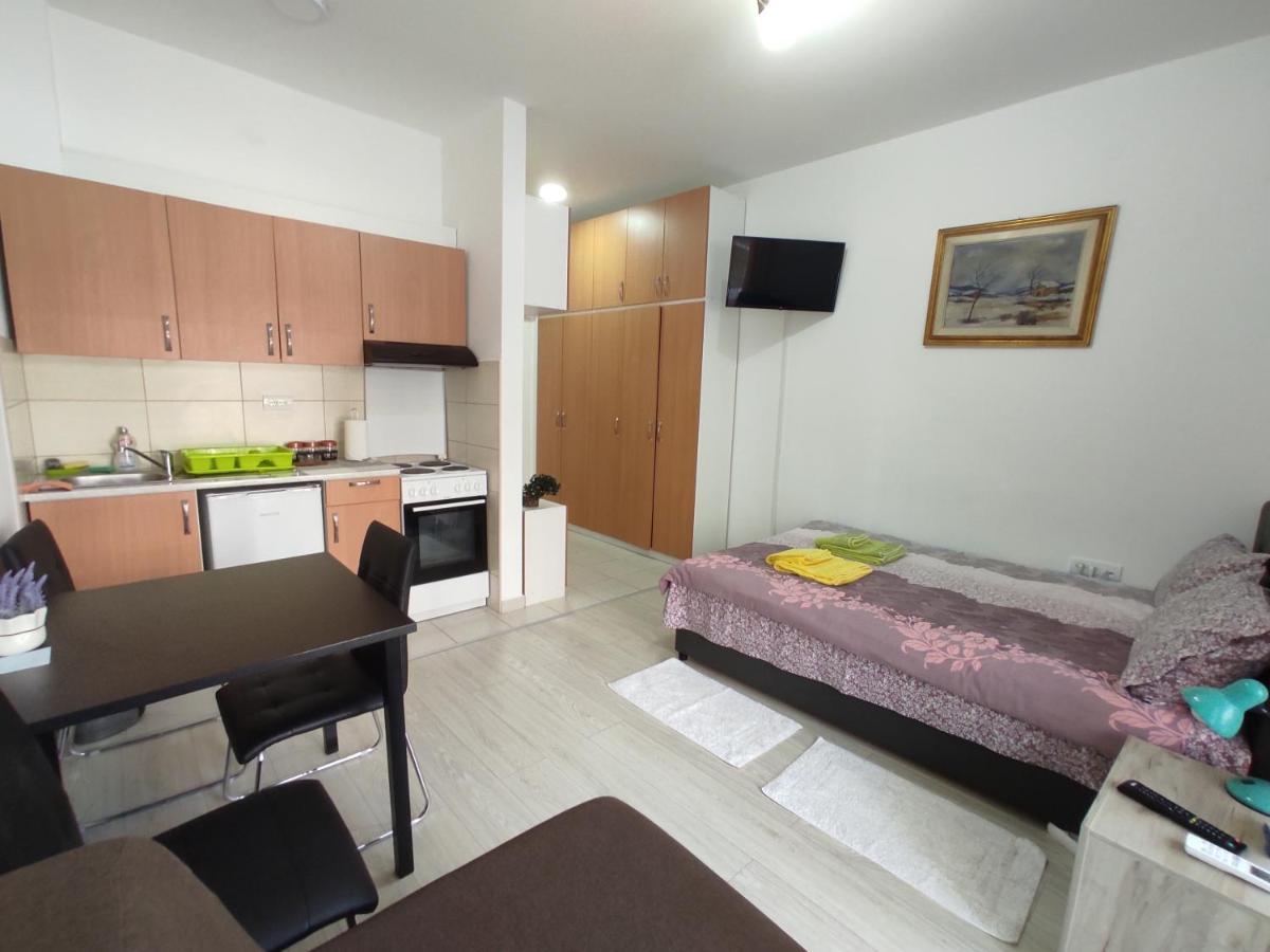 Apartman Goca Banja Koviljača エクステリア 写真